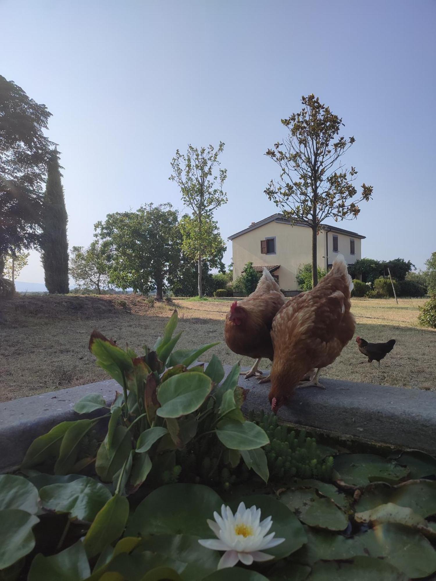 Tenuta La Castelluzza 투스카니아 외부 사진